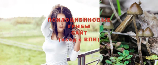 герыч Липки